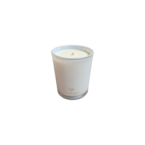 Black Iris Soy Candle 110g living light nz home styled decor
