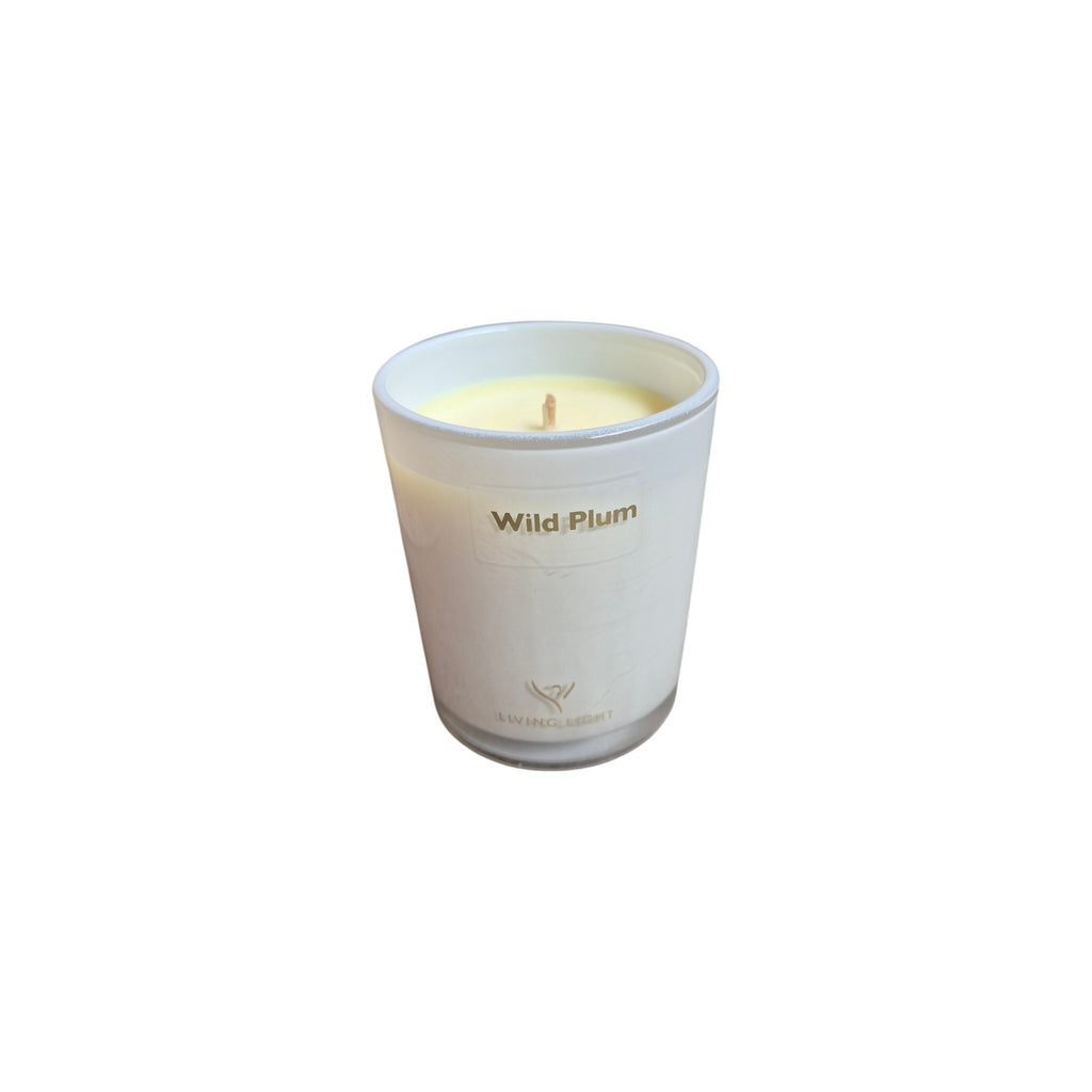 living light nz Wild Plum Soy Candle 110g home styled decor