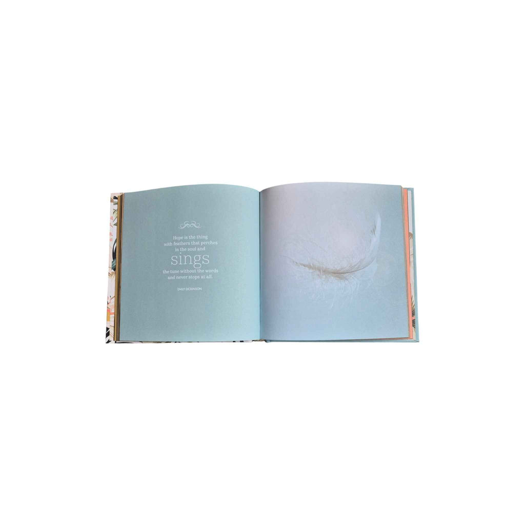Angels — Surrender to the Love of the Universe