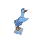 Duck Diving nz Loren Boyd