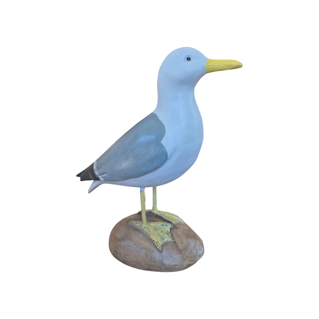 Seagull on Rock nz Loren Boyd