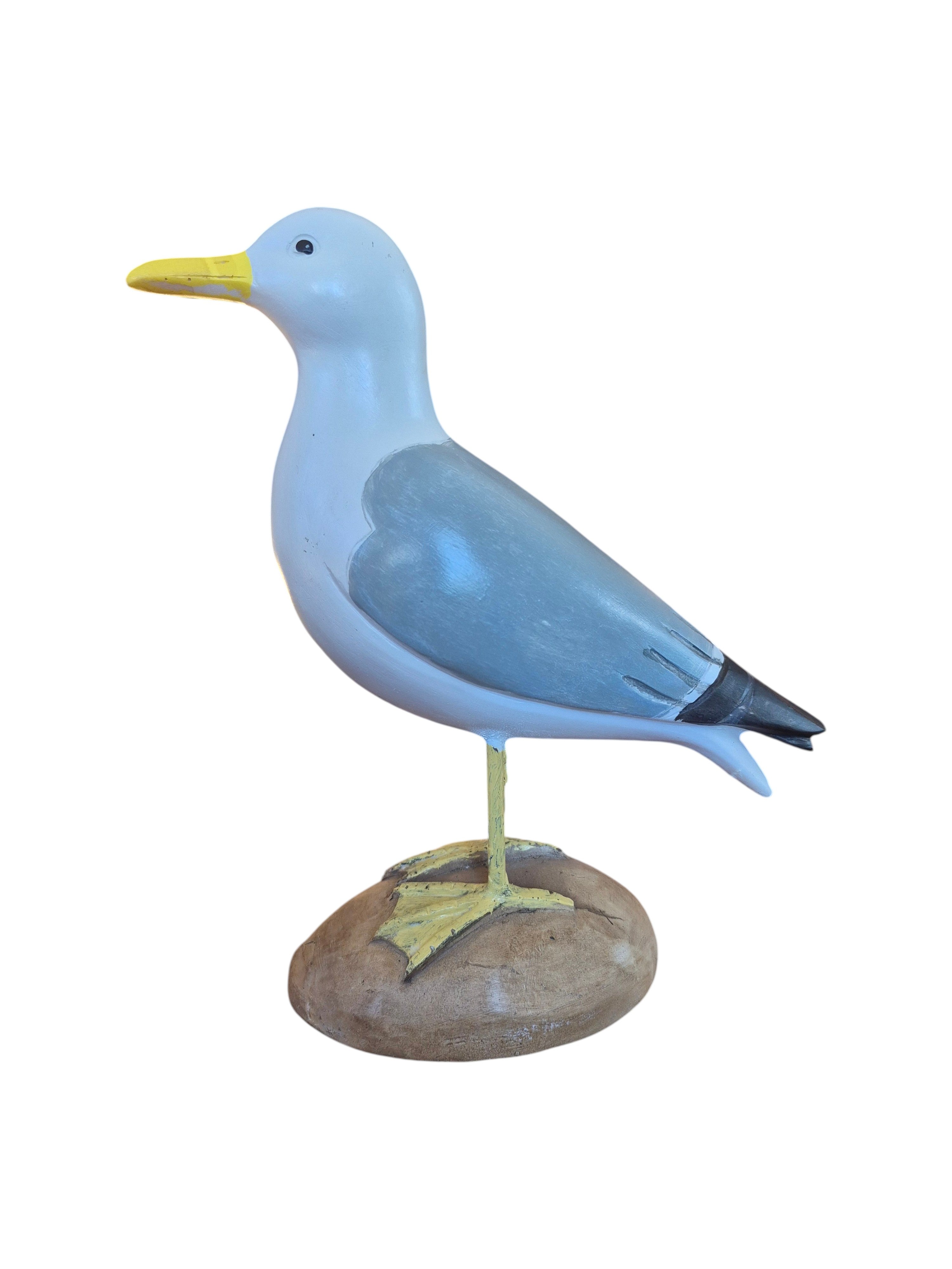 Seagull on Rock nz Loren Boyd