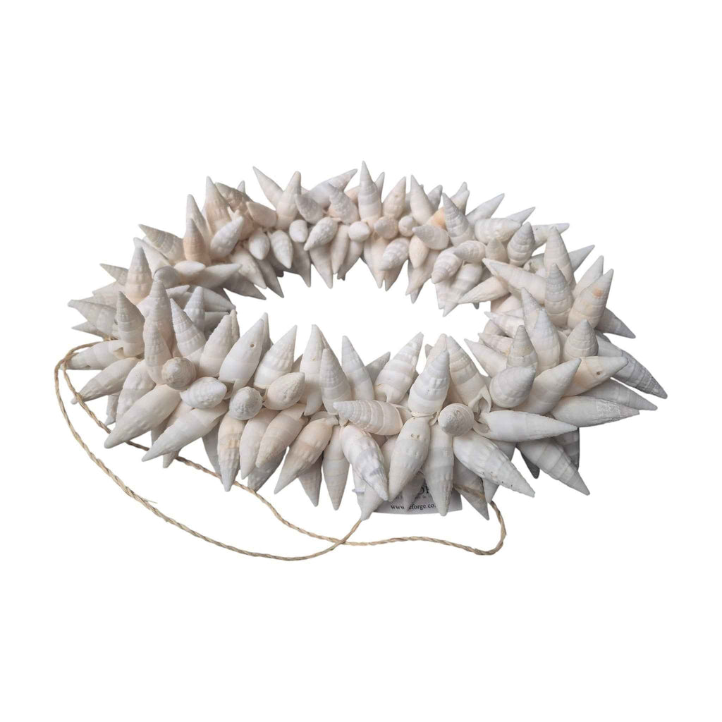 Large Vertagus Shell Wreath 28cm