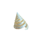 Carved pearl white trochus spiral shell approximately 6cm high, side profile view showing conical shape and pearlescent surface nz Loren Boyd
