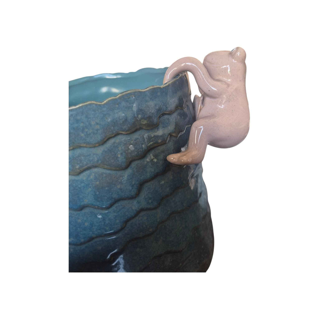 Natural Frog Climber Rim Animal