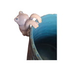 Natural Frog Climber Rim Animal