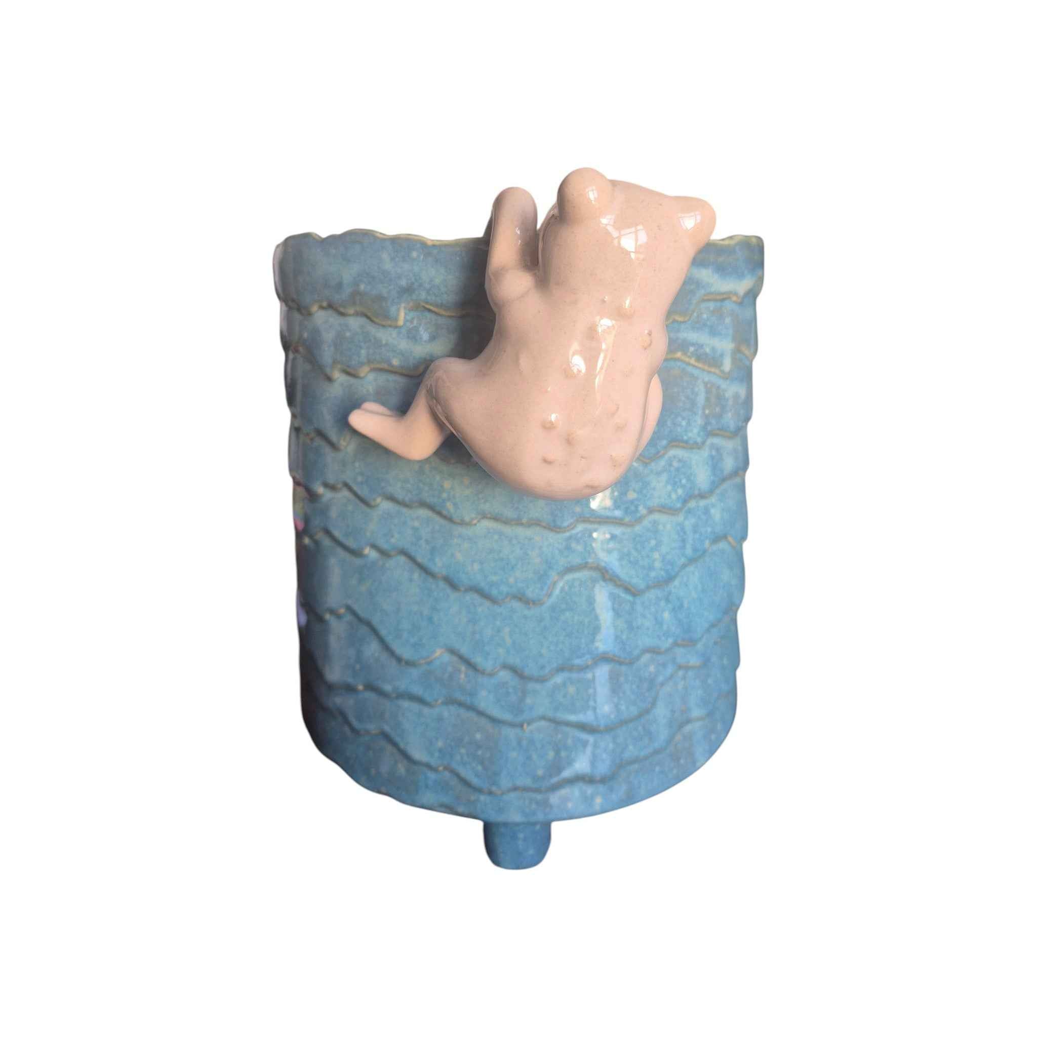 Natural Frog Climber Rim Animal
