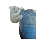 Sage Frog Climber Rim Animal