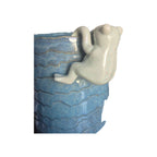 Sage Frog Climber Rim Animal