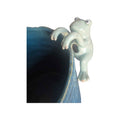 Sage Frog Climber Rim Animal