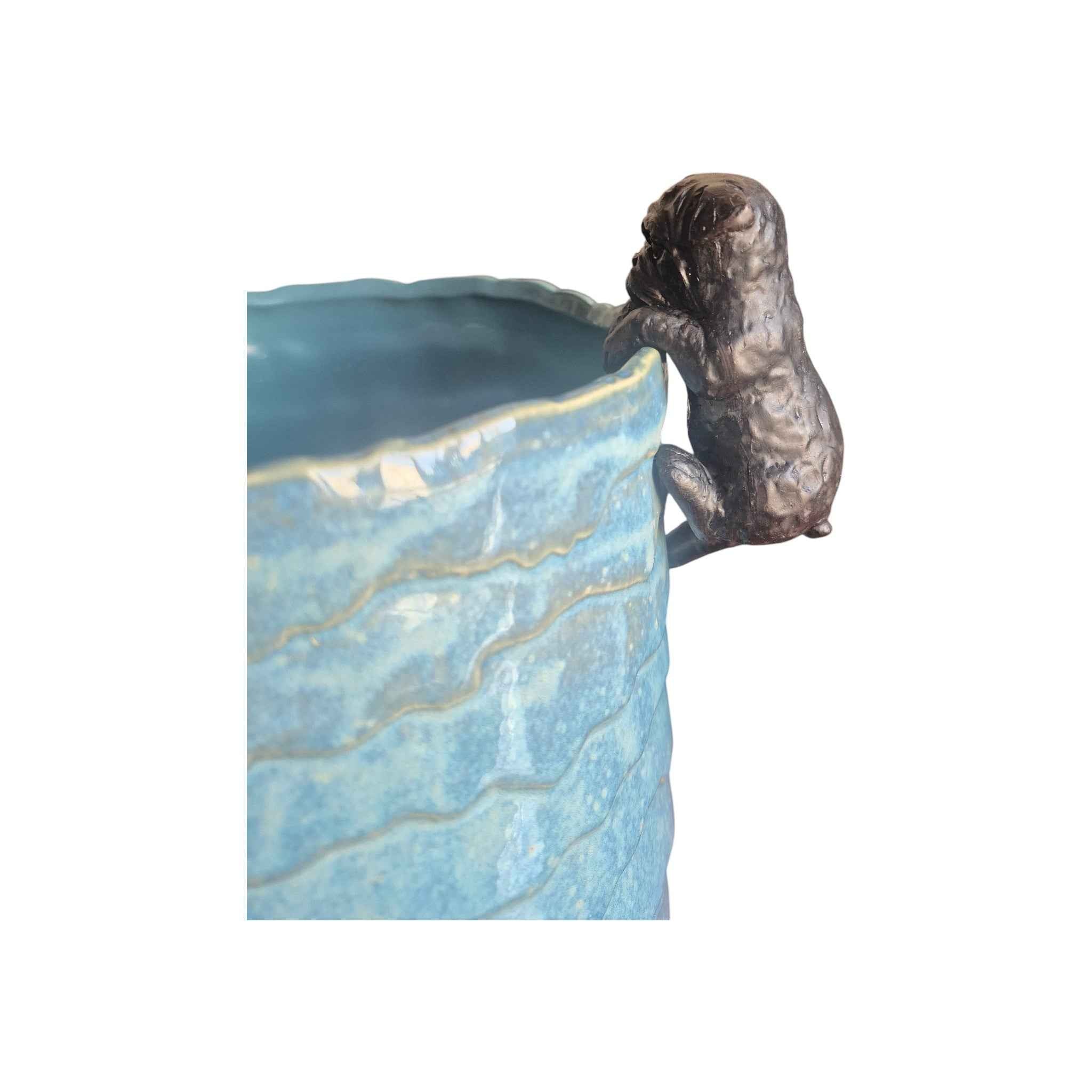 Black French Bulldog Rim Animal