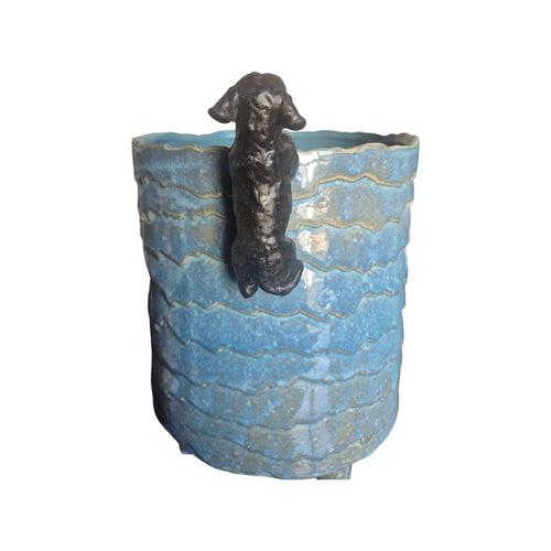 Dachshund Rim Animal