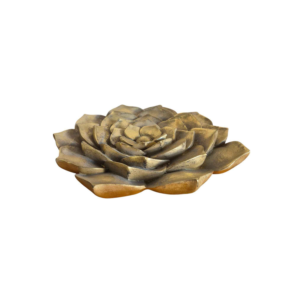 Rembrandt Succulent Resin Wall Plaque