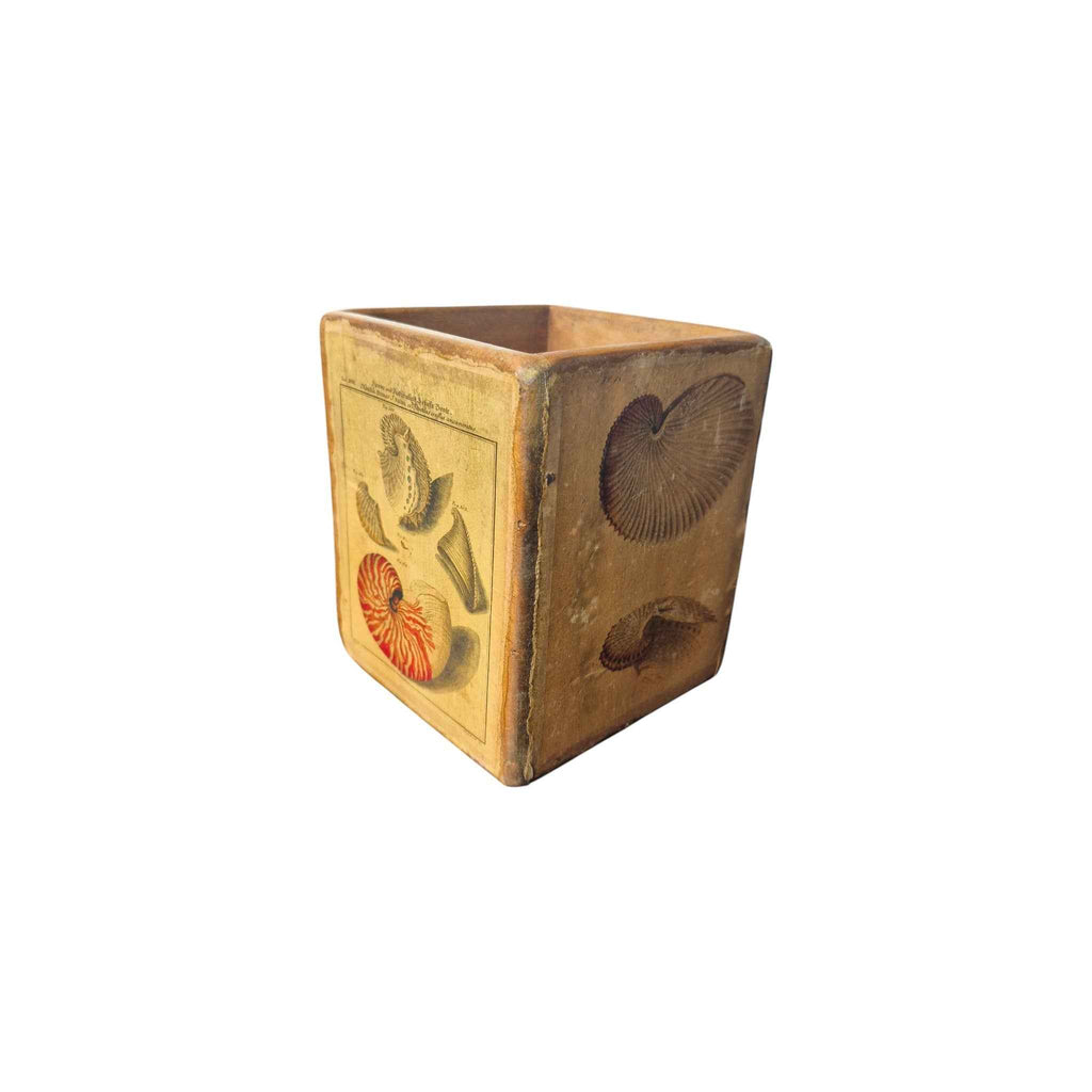 Seashell Cafe Box
