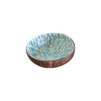 Blue Turtle Coconut Bowl
