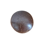 Blue Turtle Coconut Bowl