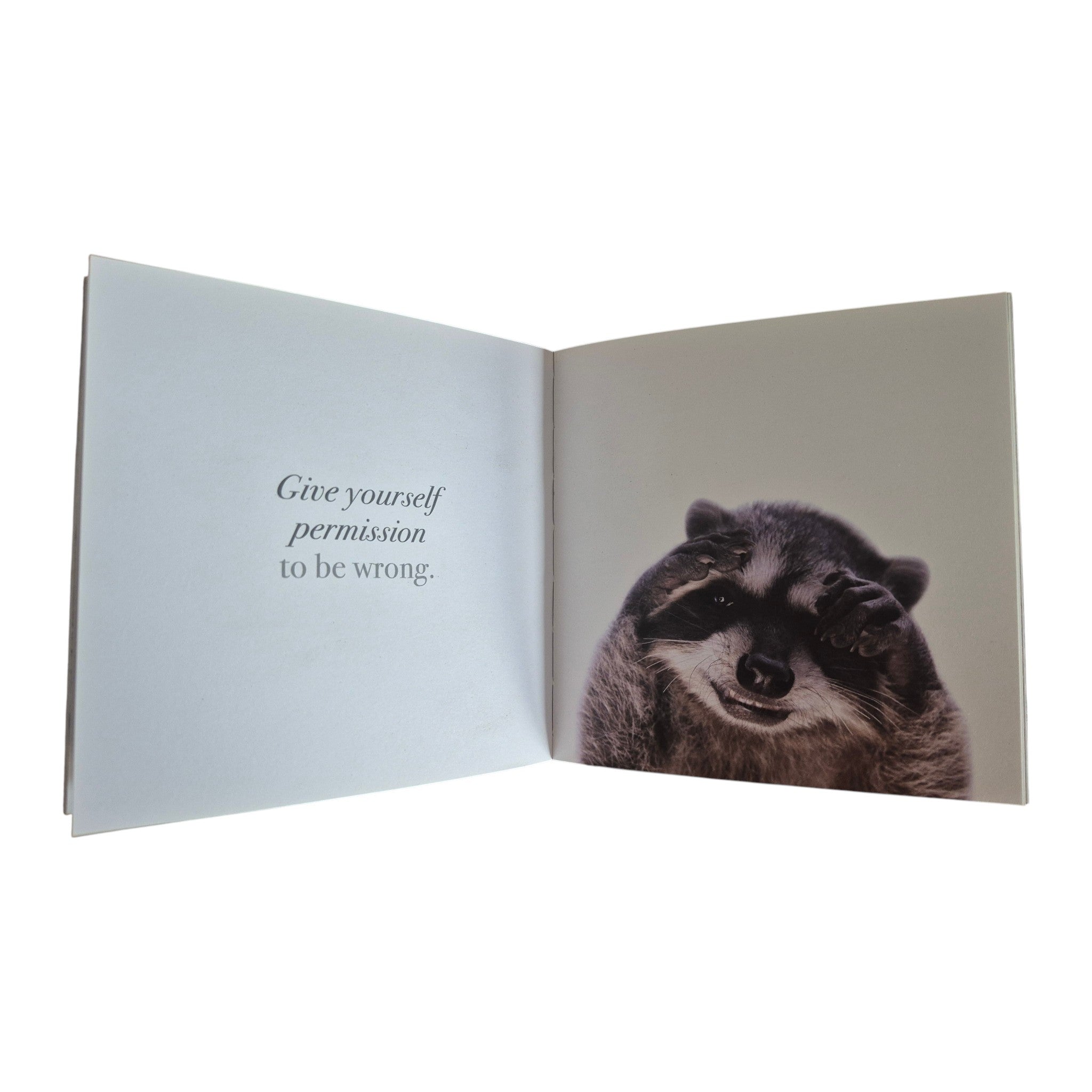 Believe in Yourself hardback book — open spread showing full-colour photograph of a raccoon alongside the quote Give yourself permission to be wrong on a clean white page