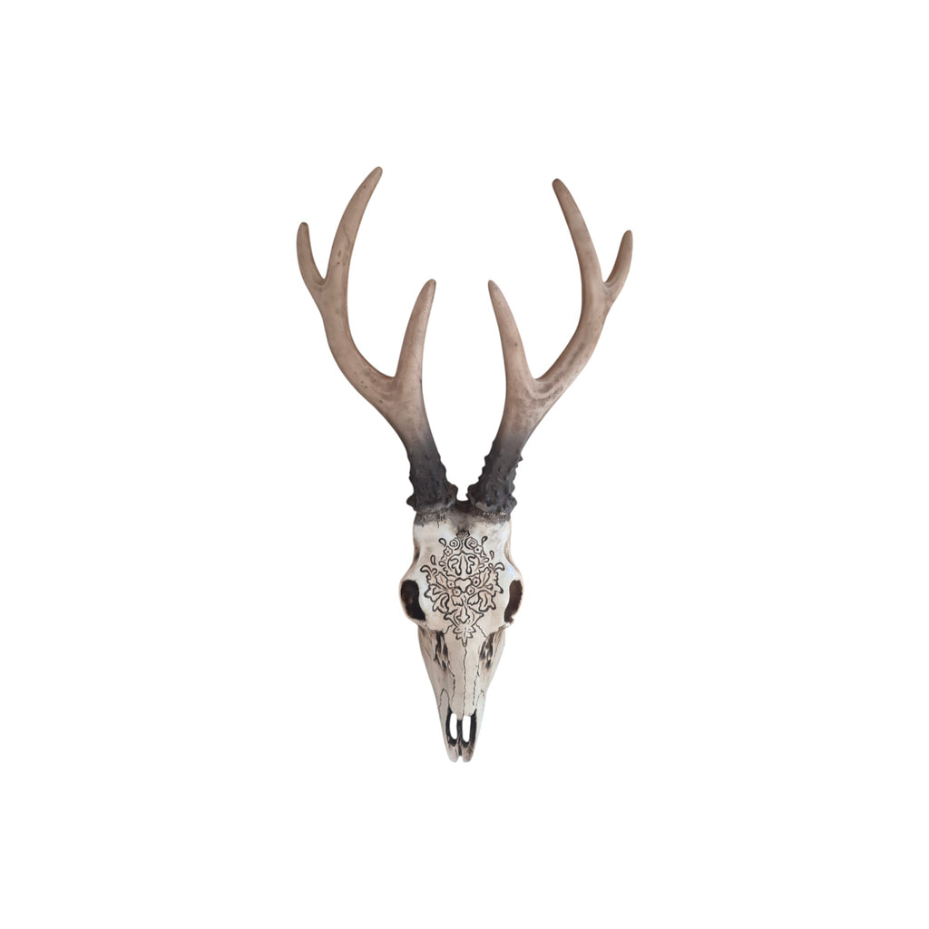 Resin Carved Deer Skull with Short Horns nz