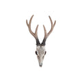 Resin Carved Deer Skull with Short Horns nz