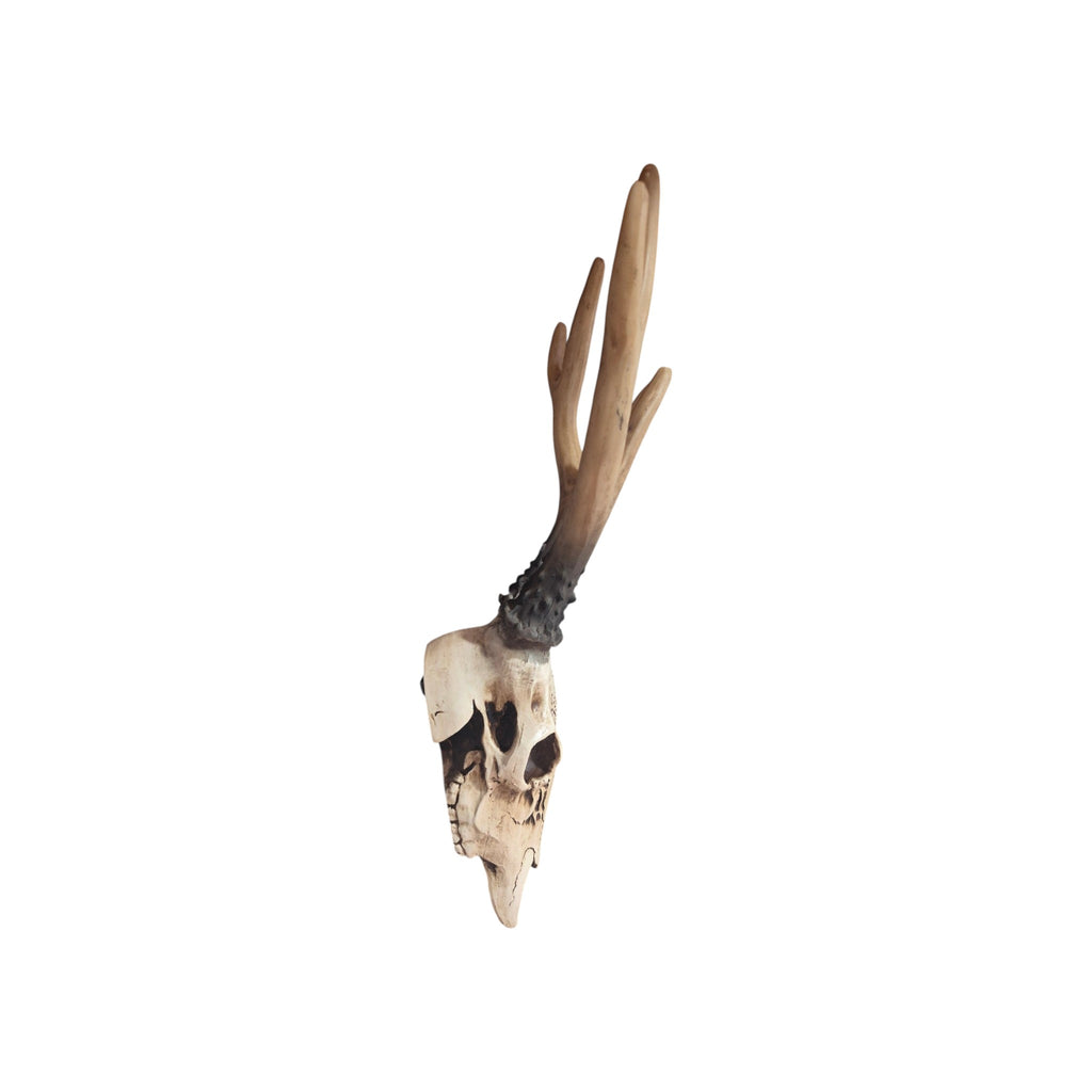 Resin Carved Deer Skull with Short Horns nz