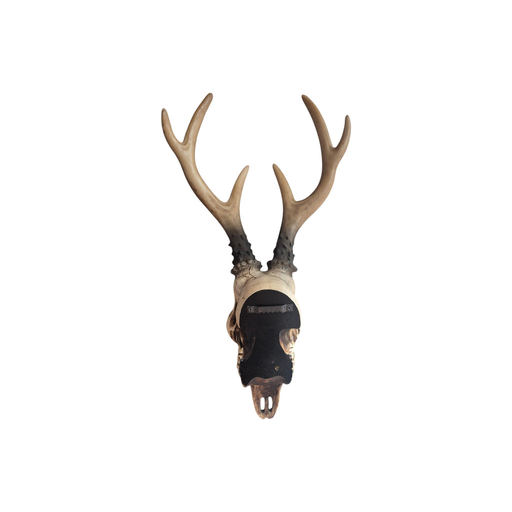 Resin Carved Deer Skull with Short Horns nz