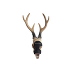 Resin Carved Deer Skull with Short Horns nz