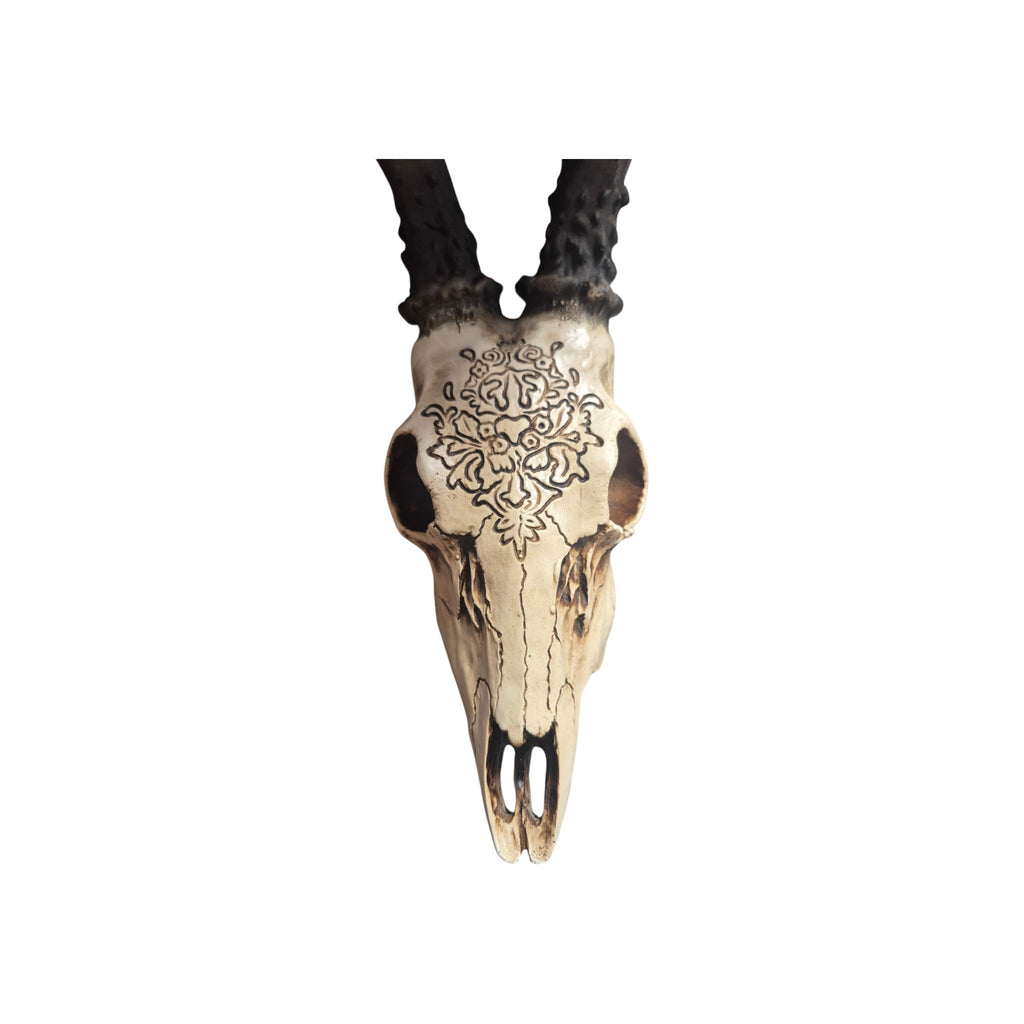 Resin Carved Deer Skull with Short Horns nz