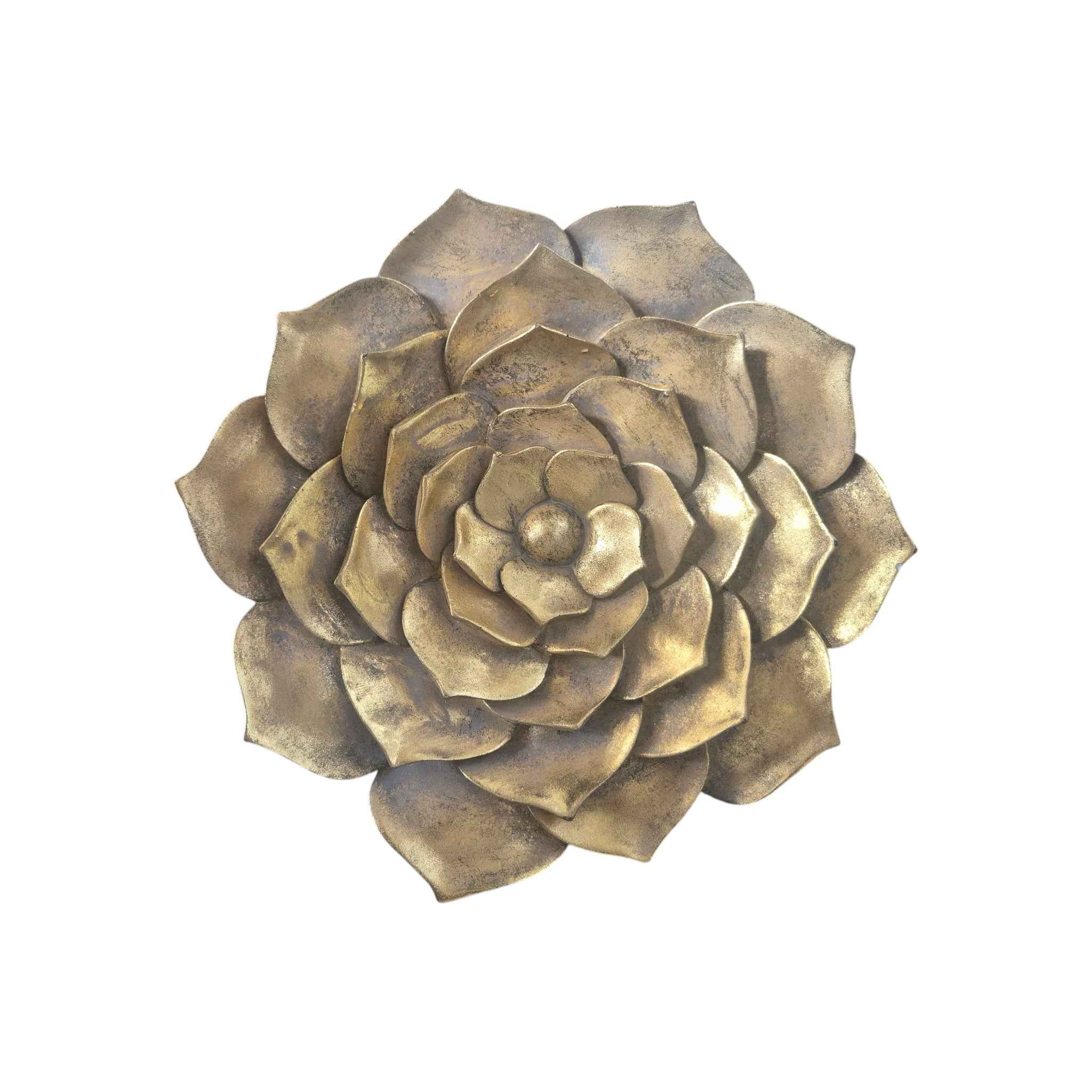Rembrandt Succulent Resin Wall Plaque
