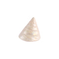 Natural Trochus shell with a polished pearly white finish nz